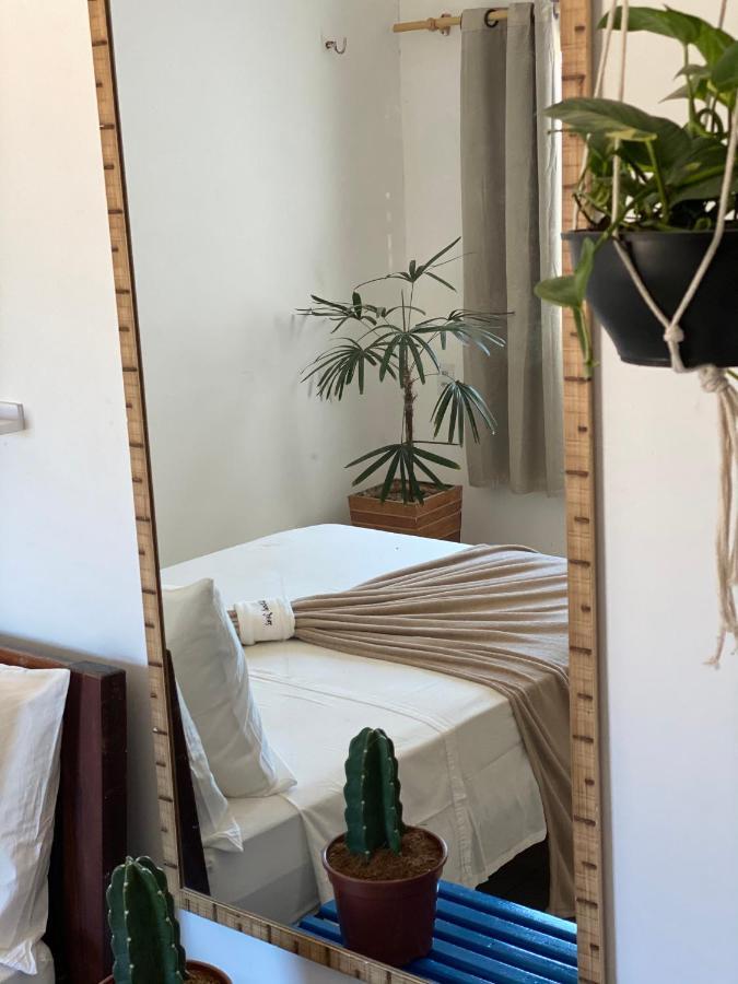 Casa Free Wind Jeri Villa Жижока ди Жерикоакоара Екстериор снимка
